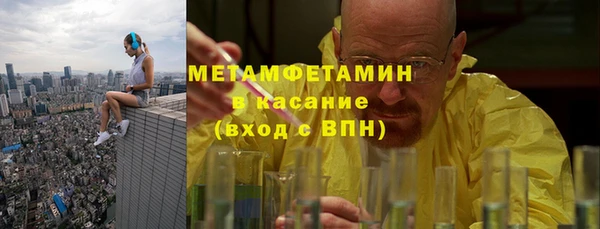 индика Арсеньев