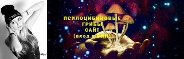 сатива Алексеевка