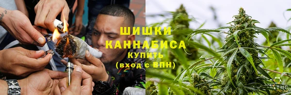 дмт Алзамай