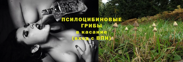 сатива Алексеевка