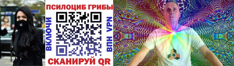 Галлюциногенные грибы Psilocybe  omg сайт  Кизел  где можно купить наркотик 
